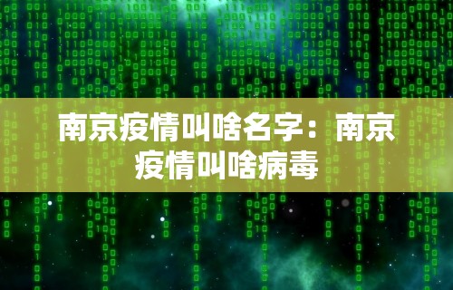 【盘点十款】“天天爱贯蛋怎么开挂”详细辅助教程分享