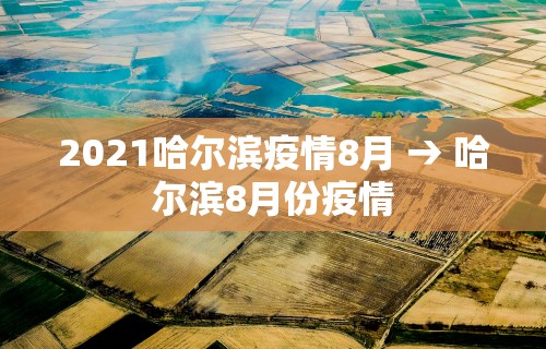 2026首发辅助“终于知道打微乐麻将老输怎么办”详细分享装挂步骤