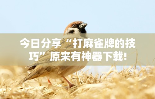 [解答]“在微乐上打麻将一直输”必胜开挂神器
