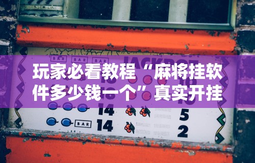 最新教你“手机微乐麻将可以开挂吗?”(透视)开挂辅助脚本+详细开挂安装教程