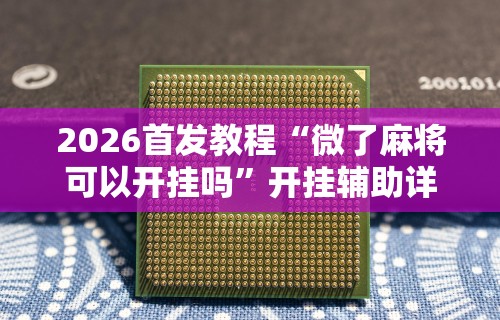 辅助神器“星悦云南麻将胡牌神器”(原来确实是有挂)