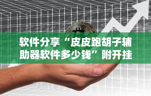 软件分享“皮皮跑胡子辅助器软件多少钱”附开挂脚本详细教程