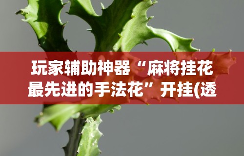玩家必看教程“微乐麻将自建房输赢规律”详细辅助透视