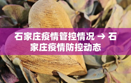 今日重磅消息“微乐麻将运势可以提高胜率吗”开挂辅助详细步骤