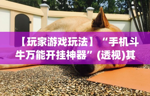 今日教程“微乐麻将怎么赢几率大一点”通用版下载教程!
