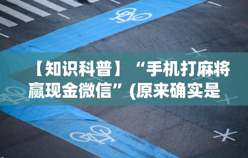 【知识科普】“手机打麻将赢现金微信”(原来确实是有插件) 