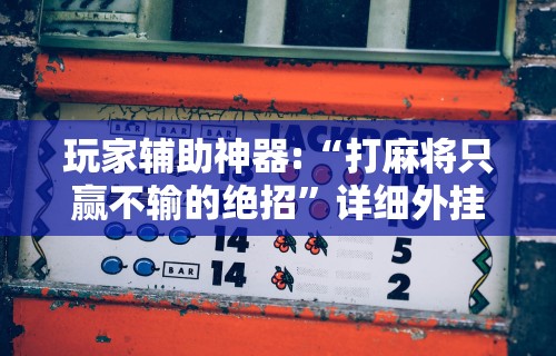 玩家辅助神器:“打麻将只赢不输的绝招”详细外挂辅助详细教程