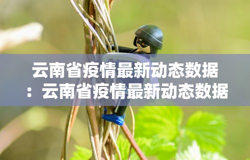 教程分享“齐齐乐牛牛有没有挂”开挂辅助脚本+详细开挂