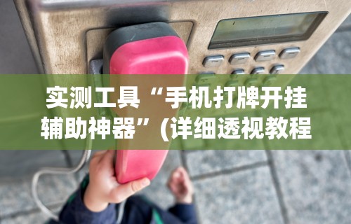 实测工具“手机打牌开挂辅助神器”(详细透视教程)-