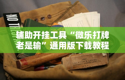 辅助开挂工具“微乐打牌老是输”通用版下载教程