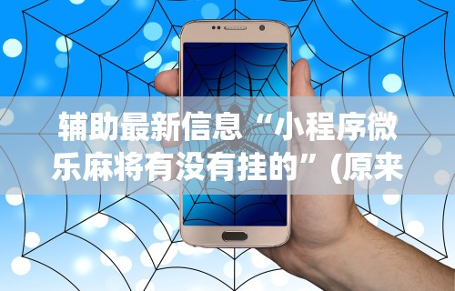 辅助最新信息“小程序微乐麻将有没有挂的”(原来确实是有挂) 