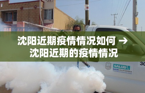 最新引进“微乐麻将怎么免费开挂”(原来确实是有挂)