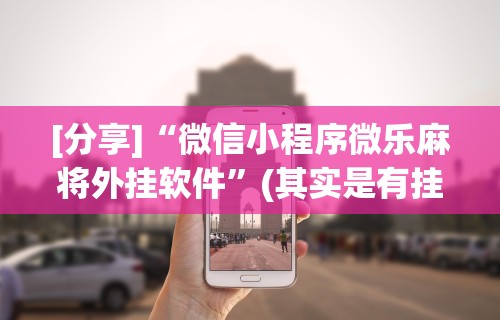 [分享]“微信小程序微乐麻将外挂软件”(其实是有挂)