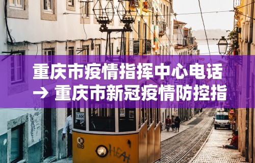 辅助开挂神器“新三哥玩透视神器下载”(曝光透视必备猫腻)