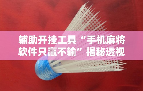 辅助开挂工具“手机麻将软件只赢不输	”揭秘透视辅助万能挂用法