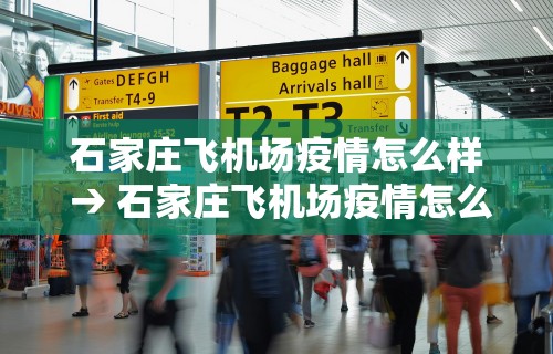 独家脚本实测“决胜麻将免费挂怎么开”通用版下载教程！