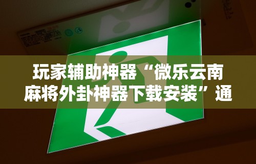 玩家辅助神器“微乐云南麻将外卦神器下载安装”通用版下载教程
