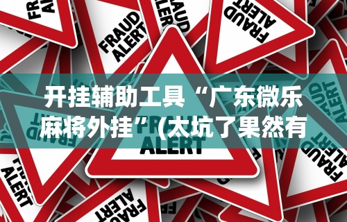 开挂辅助工具“广东微乐麻将外挂”(太坑了果然有挂)