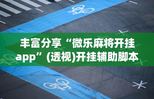 丰富分享“微乐麻将开挂app”(透视)开挂辅助脚本+详细开挂安装教程
