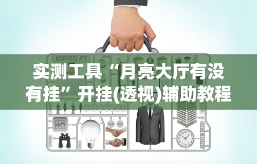 实测工具“月亮大厅有没有挂”开挂(透视)辅助教程