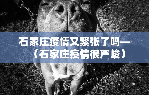 【玩家必看】“边锋辽宁棋牌有挂吗”附开挂脚本详细步骤
