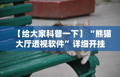 【给大家科普一下】“熊猫大厅透视软件”详细开挂教程
