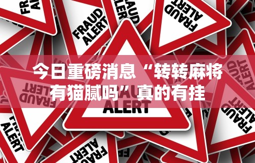今日重磅消息“转转麻将有猫腻吗”真的有挂