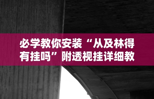 必学教你安装“从及林得有挂吗	”附透视挂详细教程 