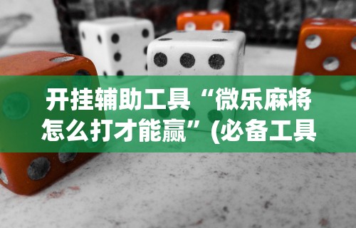 开挂辅助工具“微乐麻将怎么打才能赢”(必备工具)辅助教学