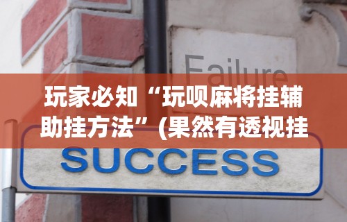 玩家必知“玩呗麻将挂辅助挂方法”(果然有透视挂)