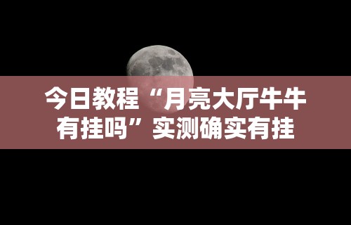 今日教程“月亮大厅牛牛有挂吗”实测确实有挂