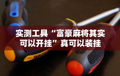 实测工具“富豪麻将其实可以开挂”真可以装挂