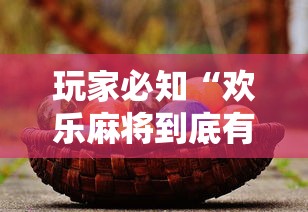 教程解析“财神从娱开挂教程	”掌握辅助功能必胜规则