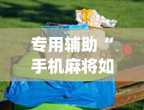 【玩家必看实操】“真人天天麻将怎么开挂”分享用挂教程