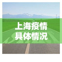 解析分享“友友麻将开挂”(透视挂)最新辅助详细教程