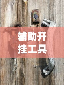 辅助开挂工具“星悦麻将怎么打才能赢	”(曝光透视必备猫腻)