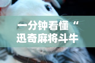一分钟看懂“迅奇麻将斗牛挂安装	”事实上真的有挂