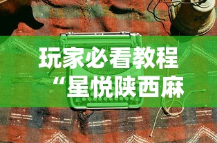 玩家必看教程“青鸟大厅金花有透视挂吗”科技辅助神器手机版教程