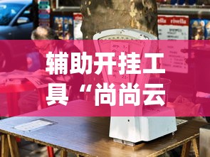 辅助开挂工具“尚尚云南麻将如何破解”开挂(透视)辅助神器