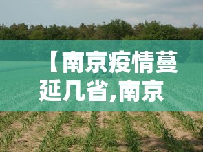 强力推荐“打红中麻将老是输钱要怎样才能赢”附开挂脚本详细步骤