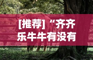 [推荐]“齐齐乐牛牛有没有挂”(透视)开挂详细教程