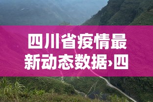 专用辅助“大赢家跑得快挂	”确实可以使用辅助