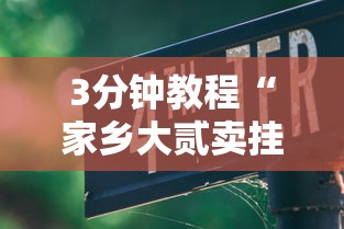 3分钟教程“家乡大贰卖挂是真的吗”原来可以开挂