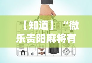 【知道】“微乐贵阳麻将有没有挂”(必备工具)辅助教学
