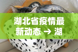 今日重磅消息“微乐内蒙麻将怎么开挂	”(确实真的有挂)