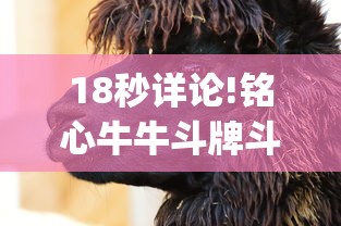 18秒详论!铭心牛牛斗牌斗牛中心究竟有挂	”开挂(透视)辅助教程