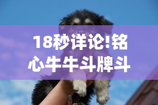 18秒详论!铭心牛牛斗牌斗牛中心究竟有挂”开挂(透视)辅助教程