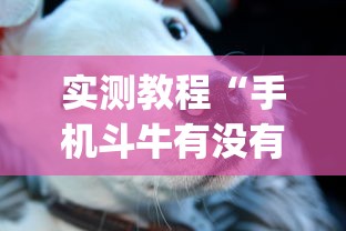 实测教程“手机斗牛有没有猫腻(真的有挂)