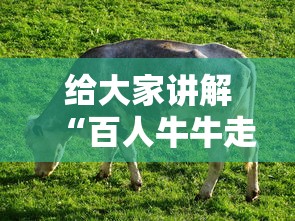 给大家讲解“百人牛牛走势规律怎么看”-开挂神器-包教包会