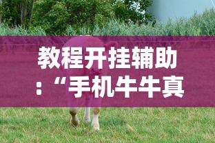 教程开挂辅助:“手机牛牛真的有挂吗”详细开挂玩法